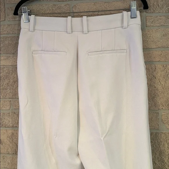 Aritzia Babaton Revue Pant
High-waisted pleated pants - Picture 7 of 15